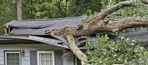 Tree fell on house - Scenario 1: My Tree Fell on My House. If a tree on your property falls and the damage is isolated to your property, here’s what you’ll need to do: Safety first: Get yourself, your family, and your pets to …